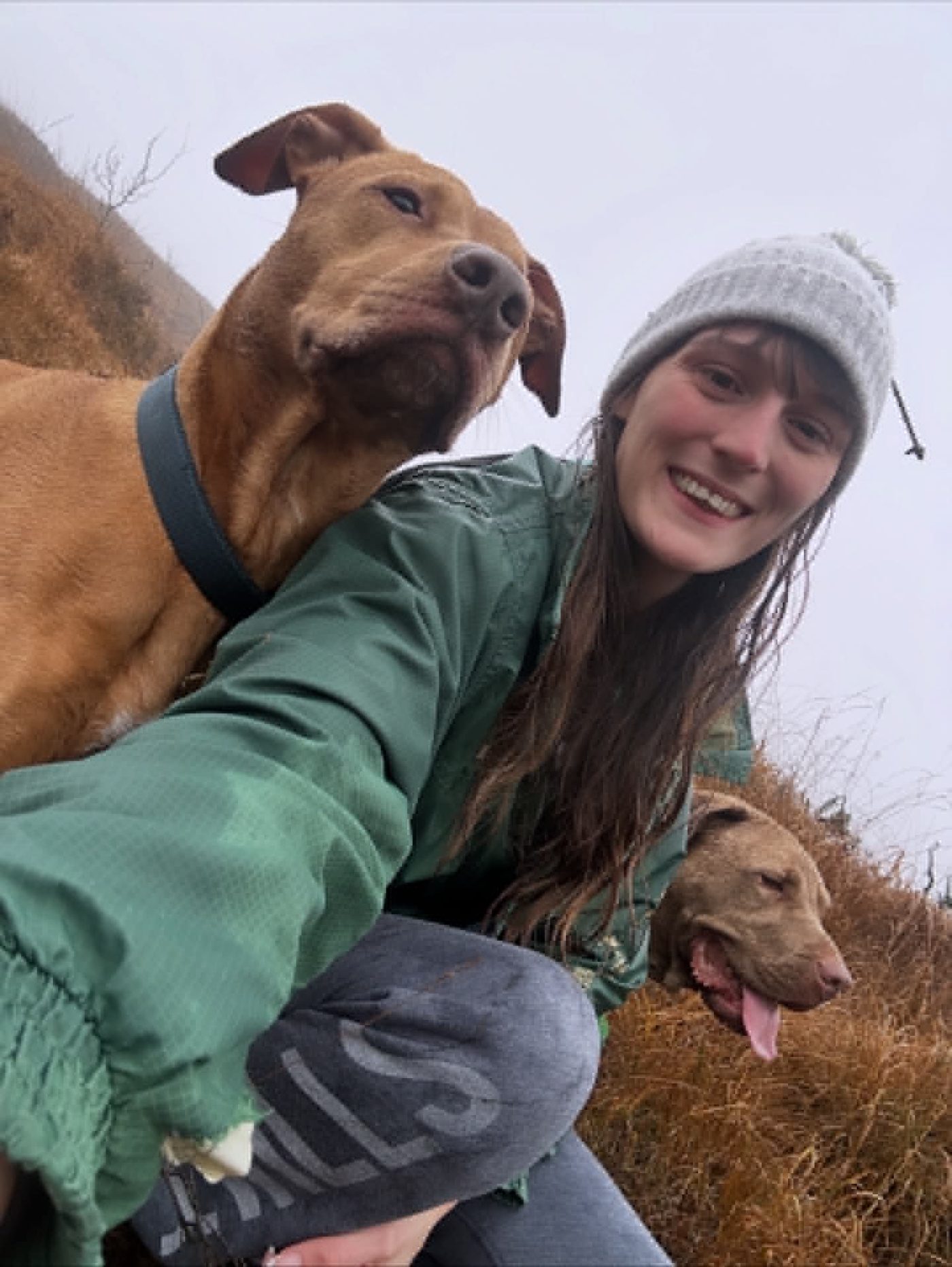 Lottie out on a hill with one of the pack
